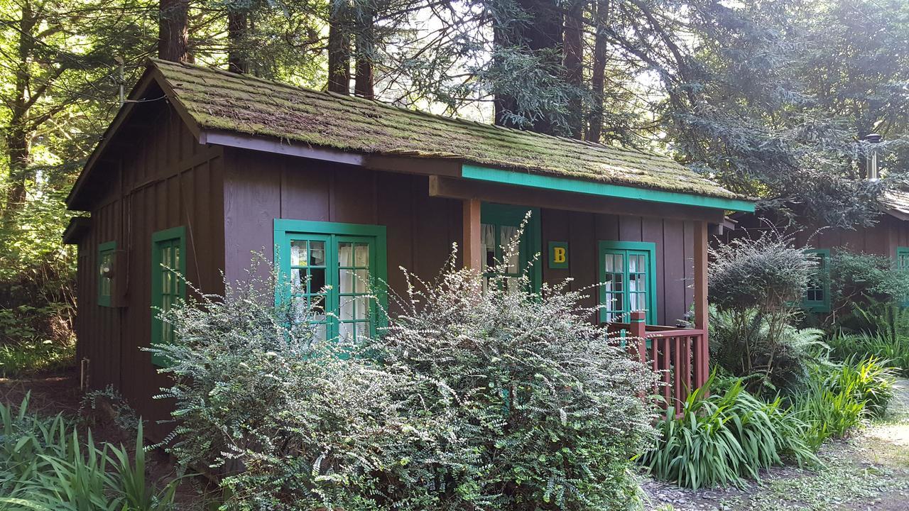 Emerald Forest Cabins Тринидад Экстерьер фото
