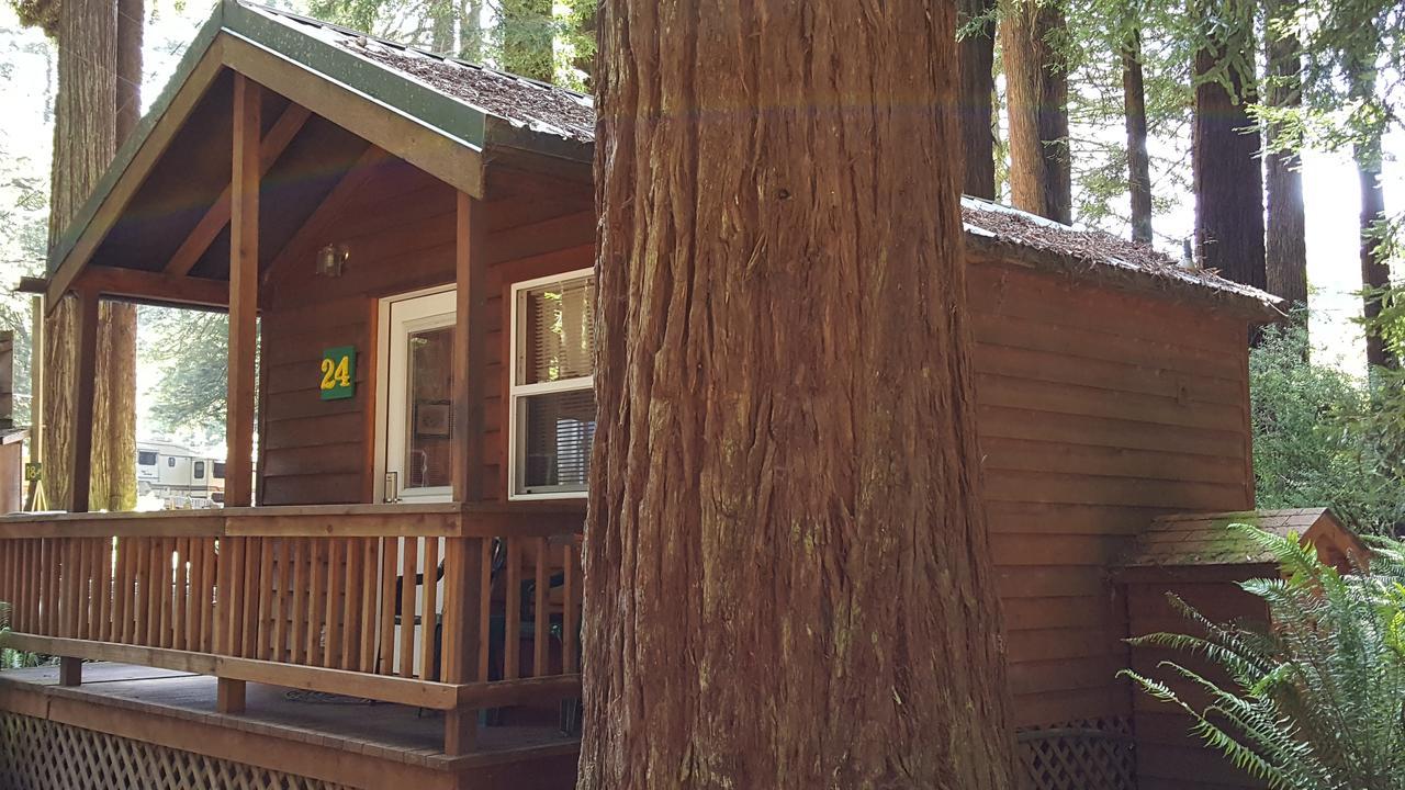 Emerald Forest Cabins Тринидад Экстерьер фото