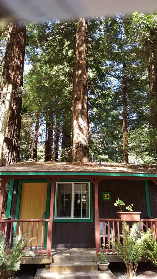 Emerald Forest Cabins Тринидад Номер фото