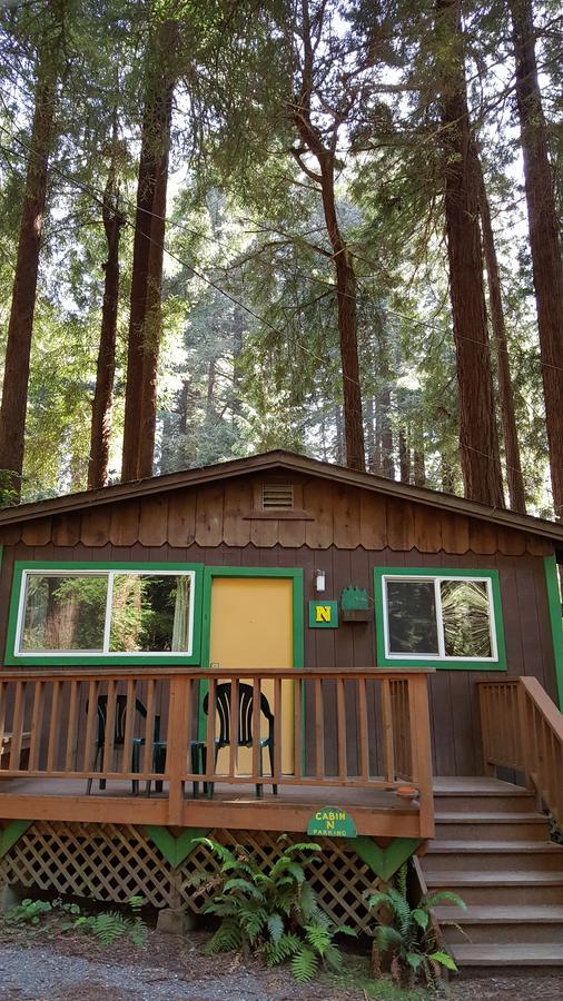 Emerald Forest Cabins Тринидад Номер фото