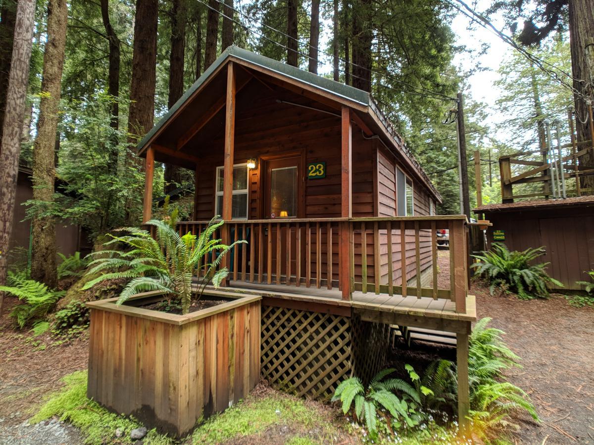 Emerald Forest Cabins Тринидад Экстерьер фото